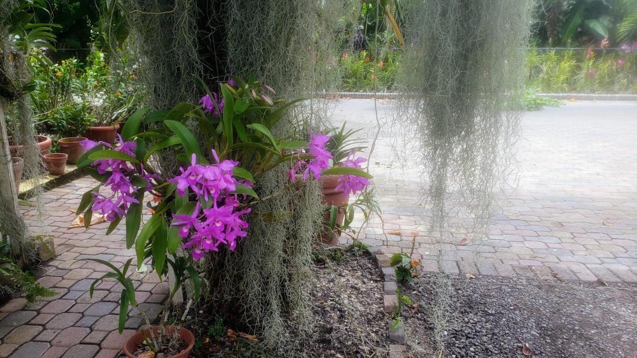 Orchid Cottage Kingston Exterior foto