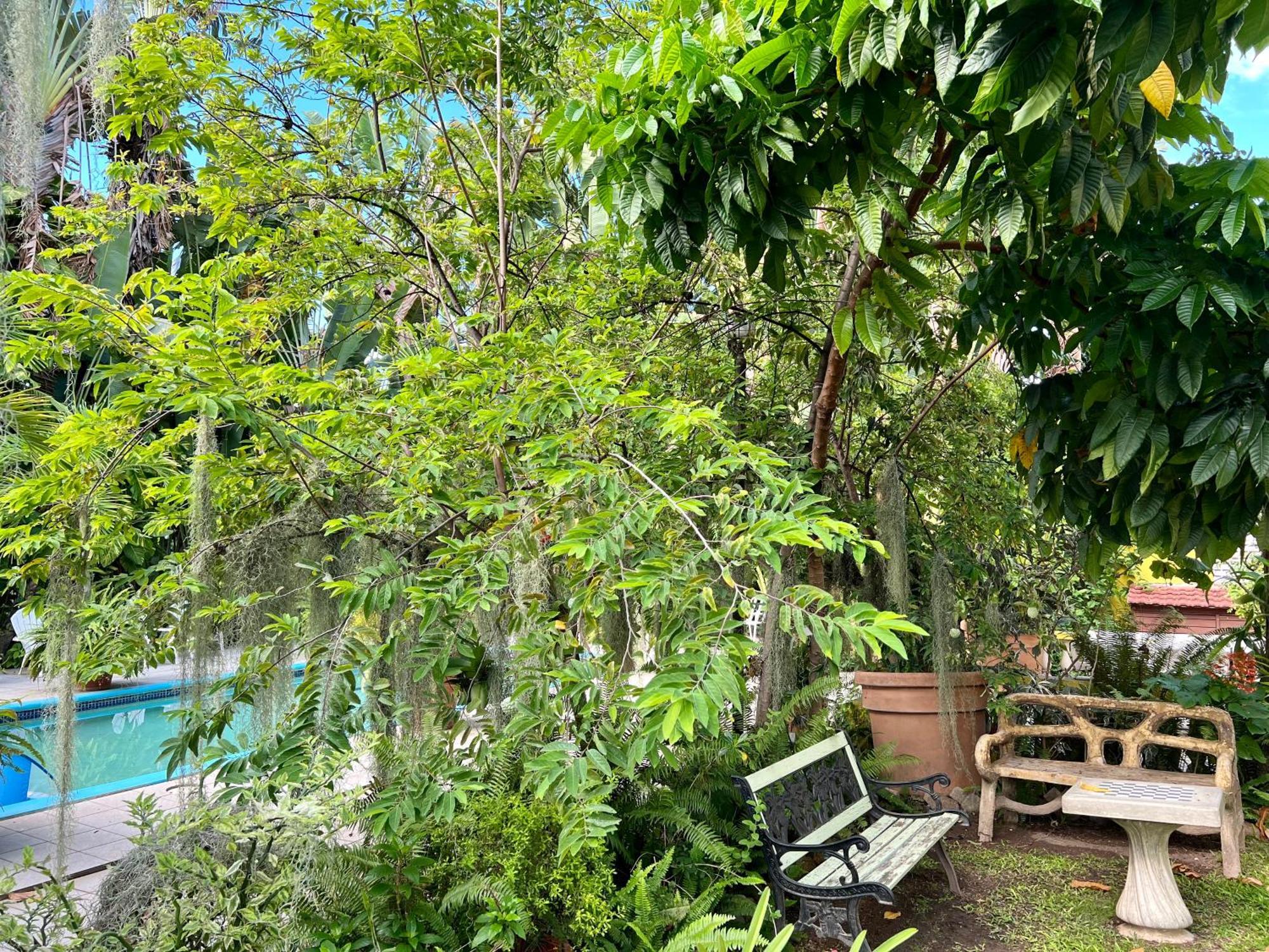 Orchid Cottage Kingston Exterior foto