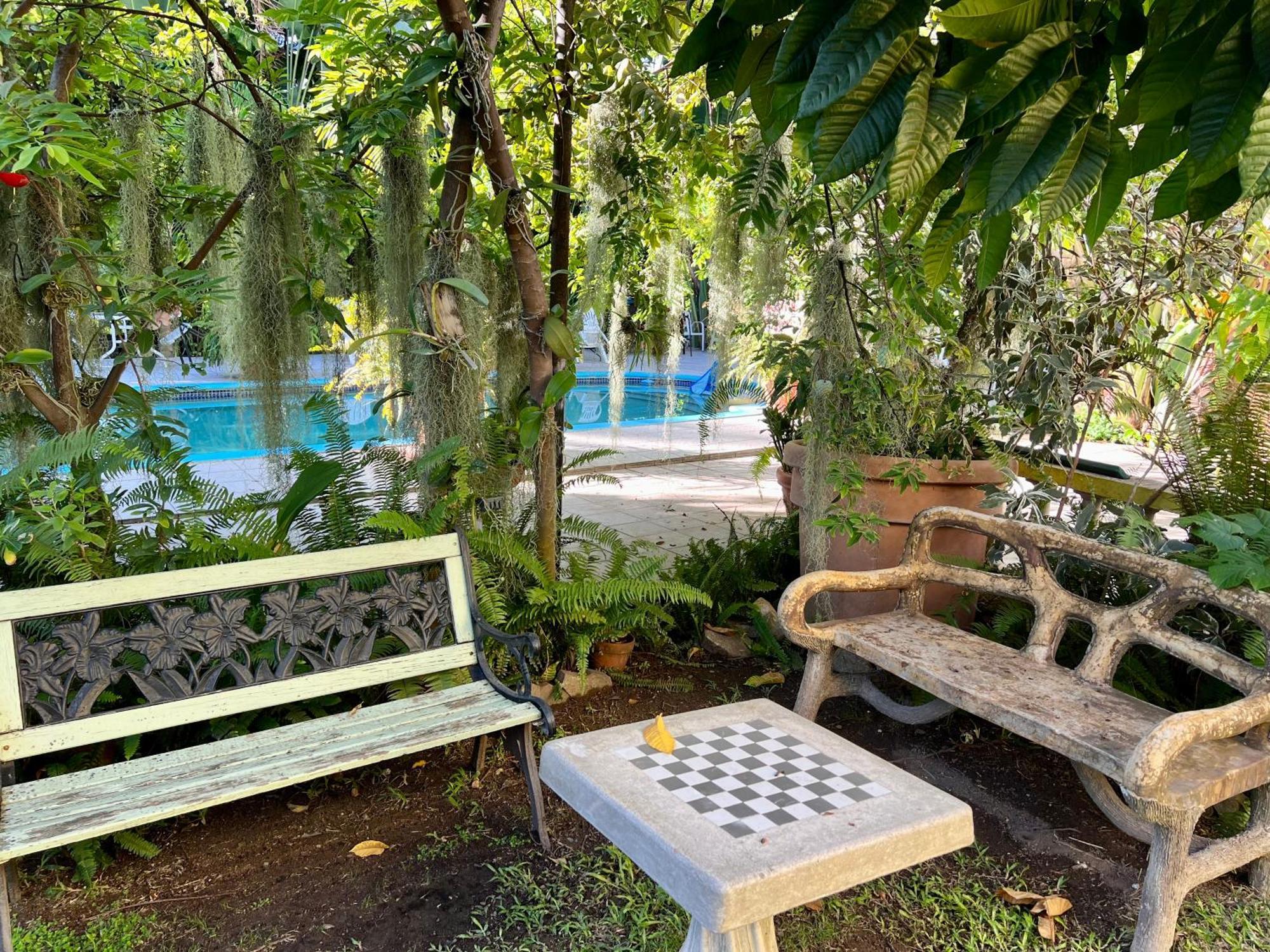 Orchid Cottage Kingston Exterior foto