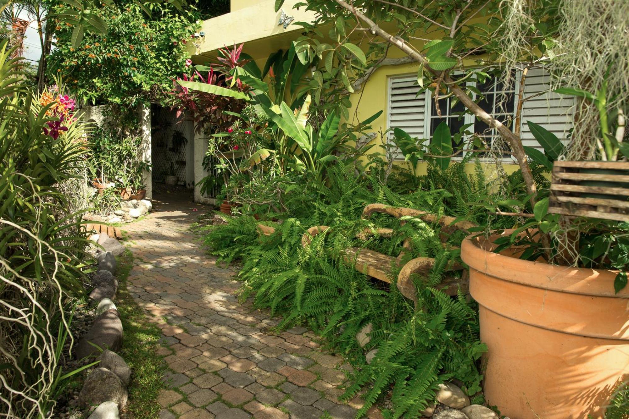 Orchid Cottage Kingston Zimmer foto